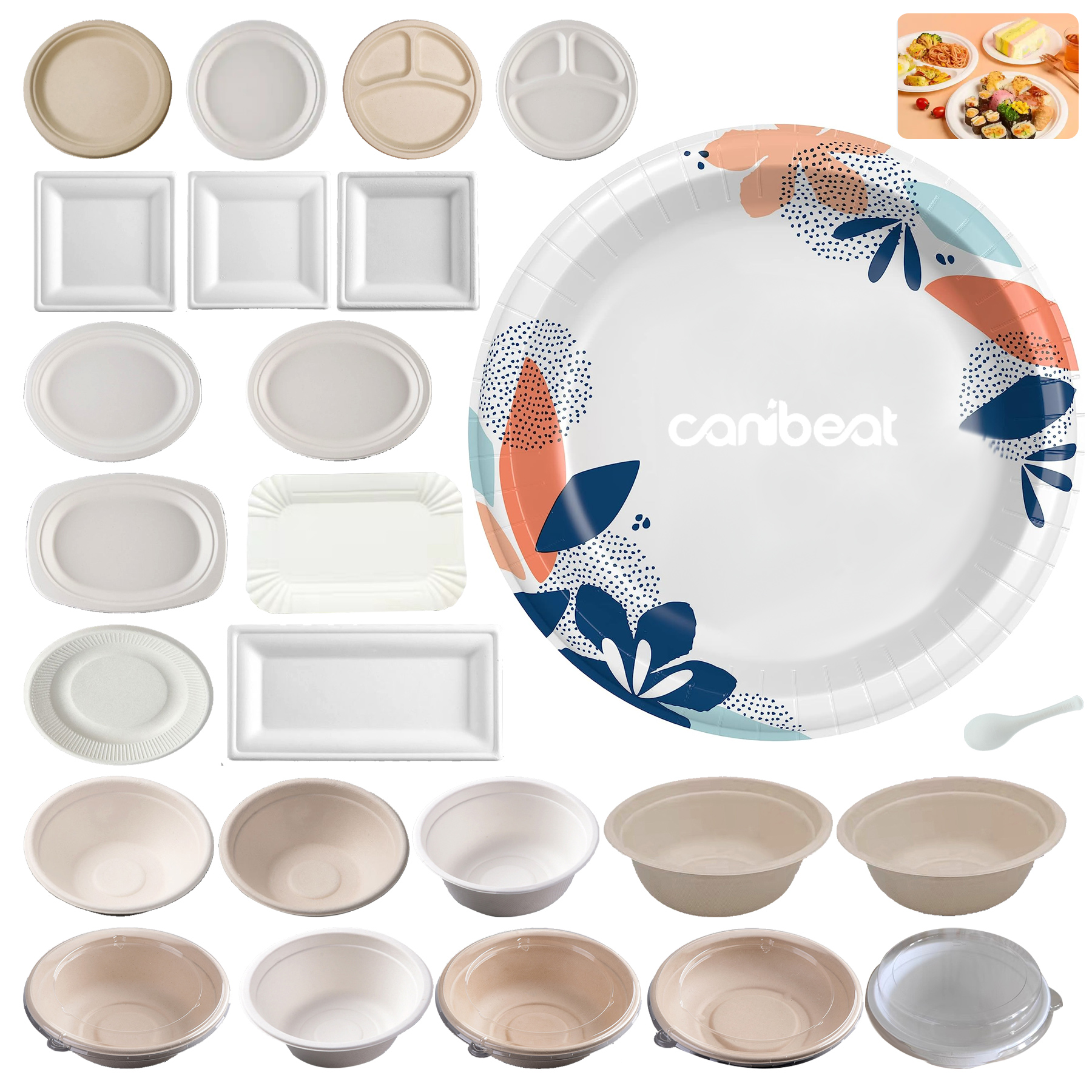 Printed Disposable Plate 1