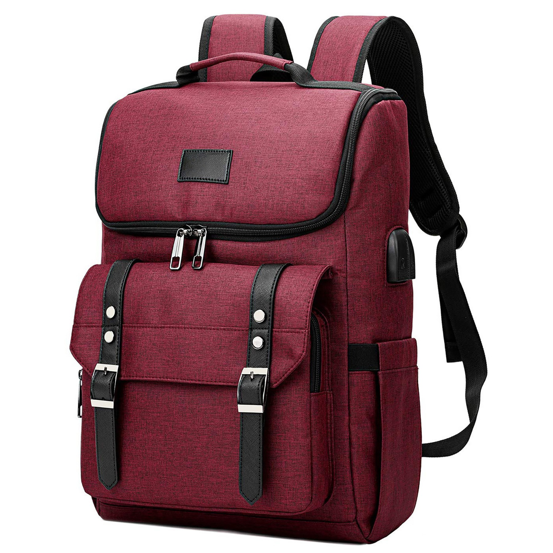 Travel Laptop Backpack 2