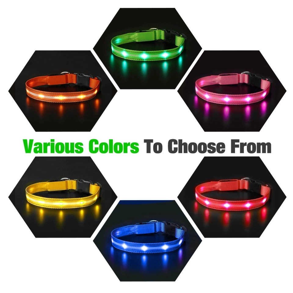 LED Light Up Dog Leash 5