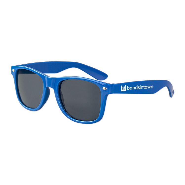 Polarized Iconic Sunglasses 1