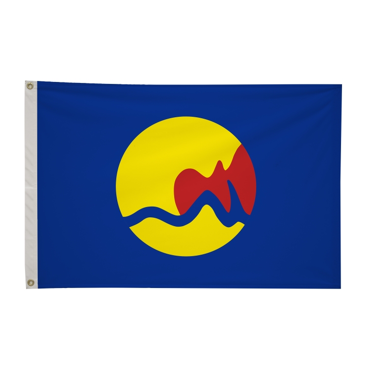 2' x 3' City Flags 65
