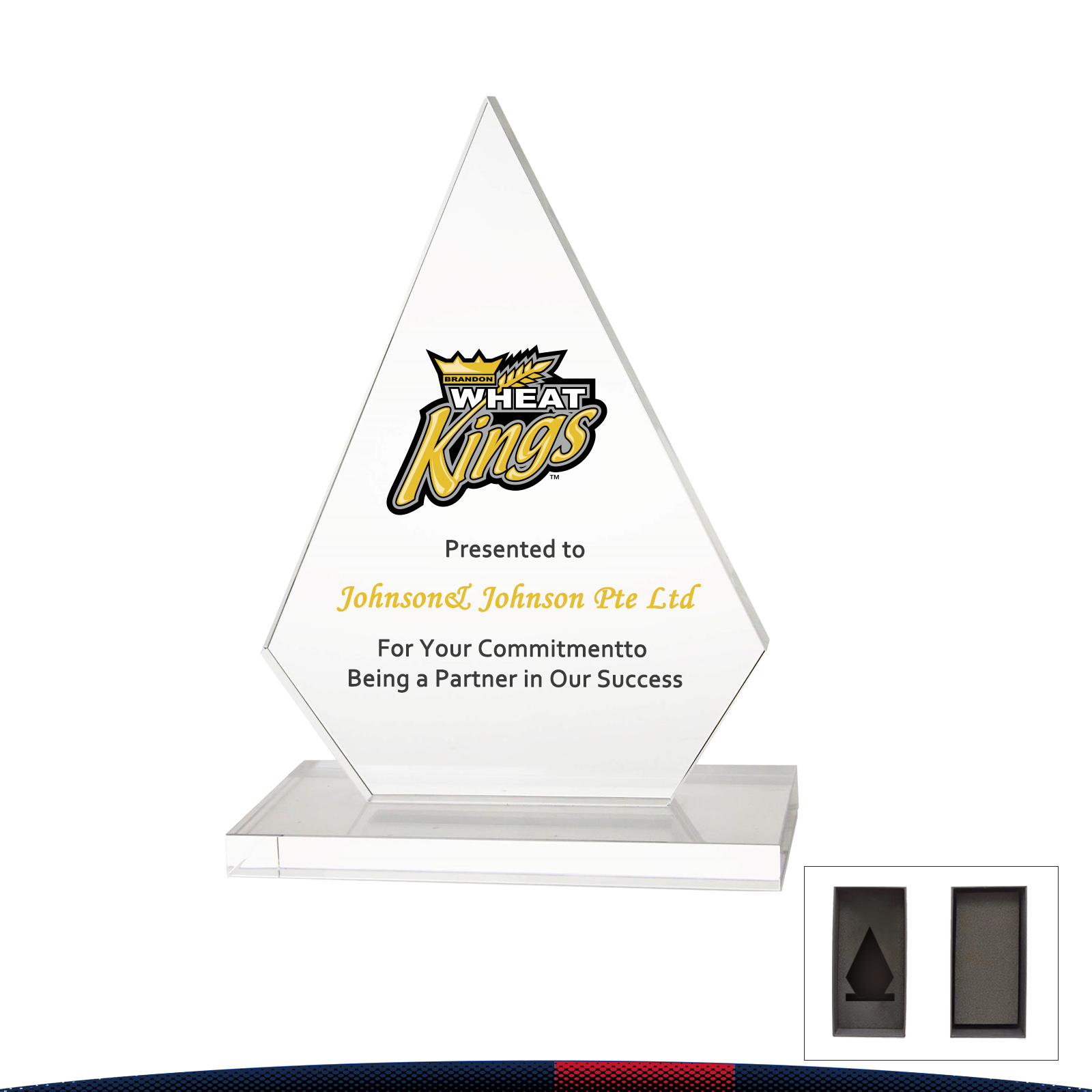 Dorti Summit Crystal Award 1