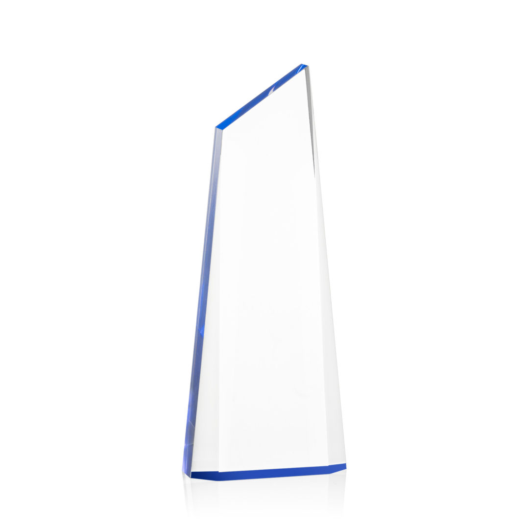 Hudson VividPrint™ Award - Blue 1