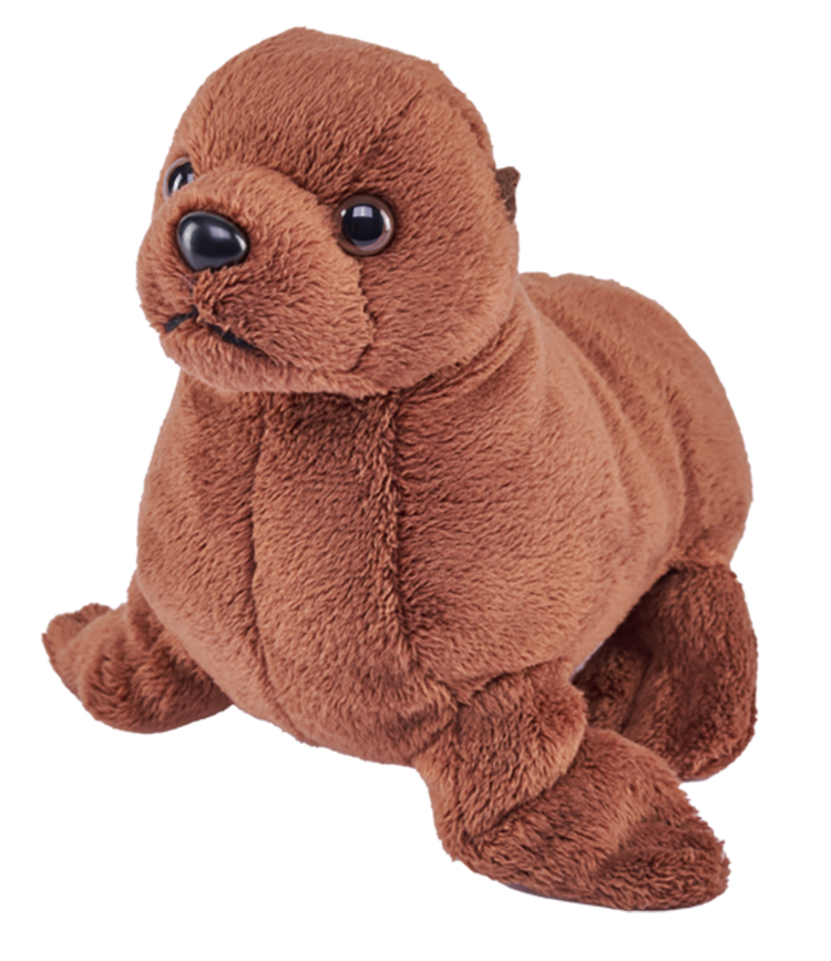5" Pocketkins Eco Sea Lion 2