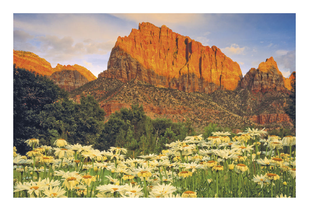 Triumph® Calendars Beautiful America Pocket Calendar 26