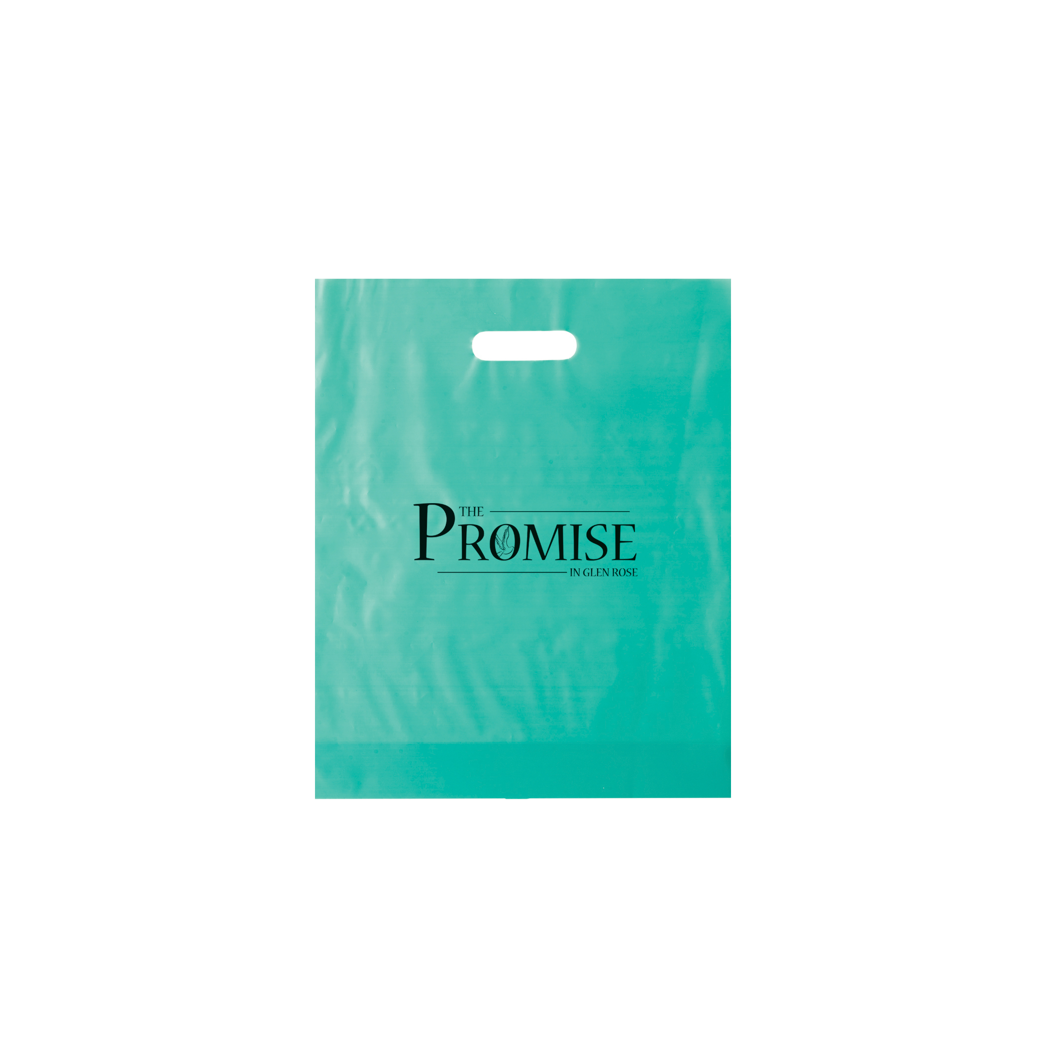 Non Reinforced HDPE Frosted Die Cut Bag 14