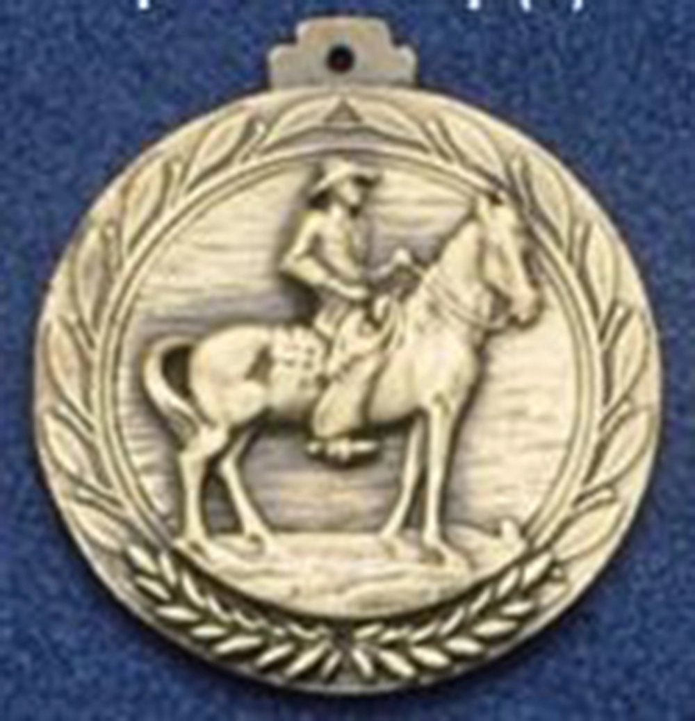 2.5" Stock Cast Medallion (Western)