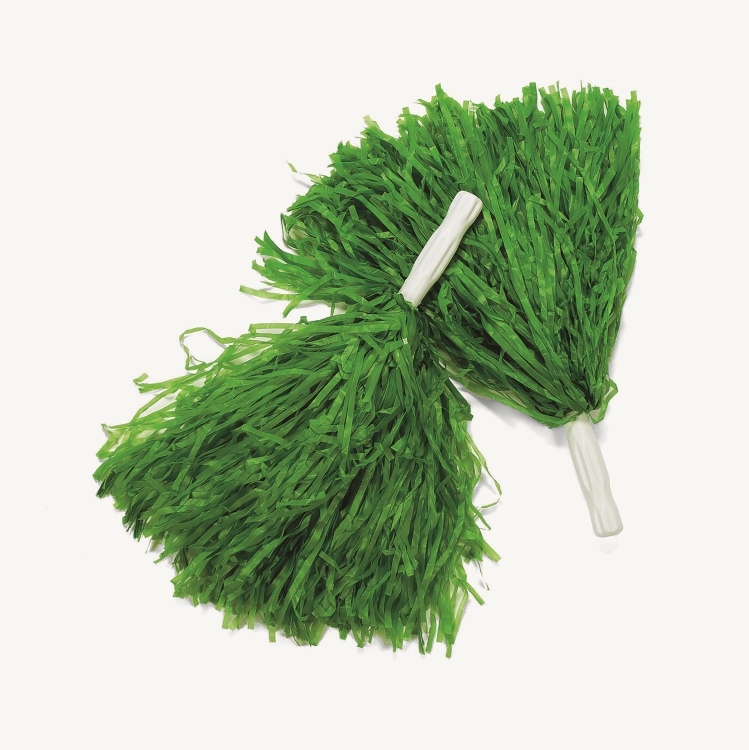 Pom Poms 1