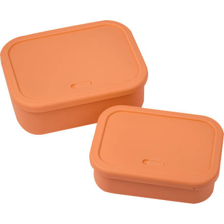 Silicone Food Storage Box with Air Valve - Set of 60