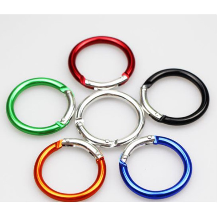 Round Shaped Carabiner Keyring 2