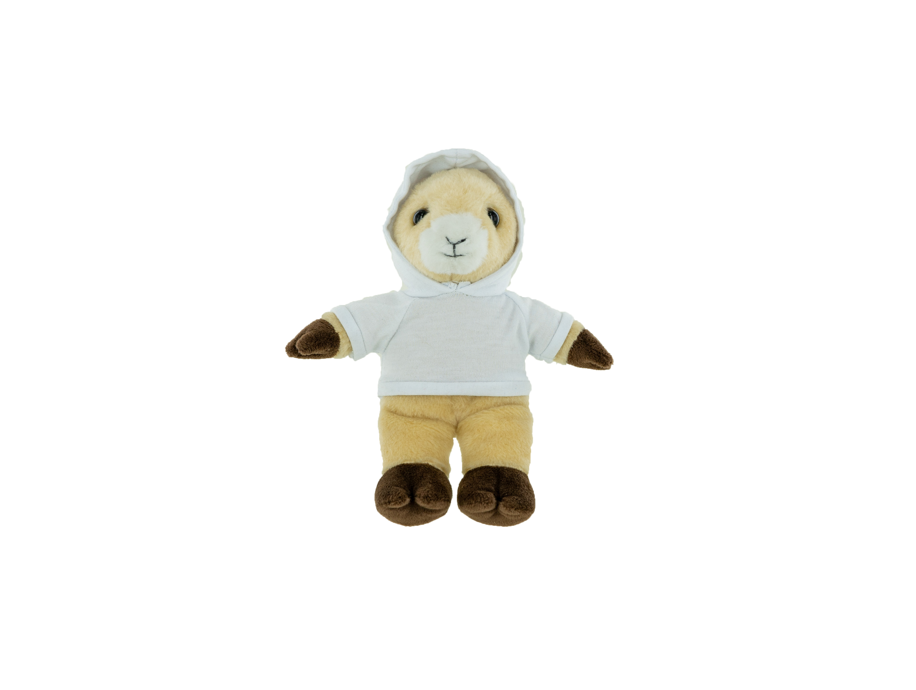 Plush Ram with Hoodie 3