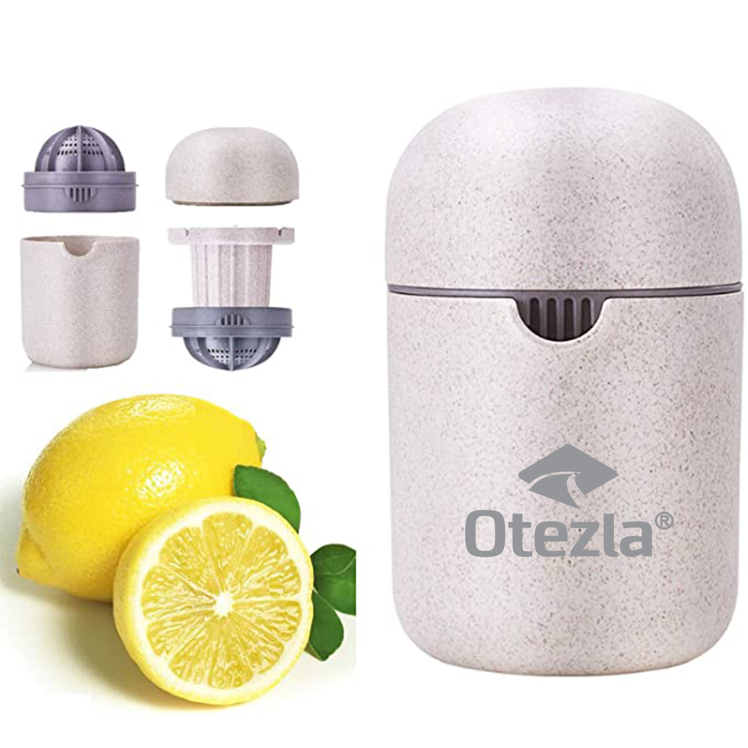 Manual Fruit Juicer 2