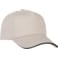 Unisex Zest Ballcap 46