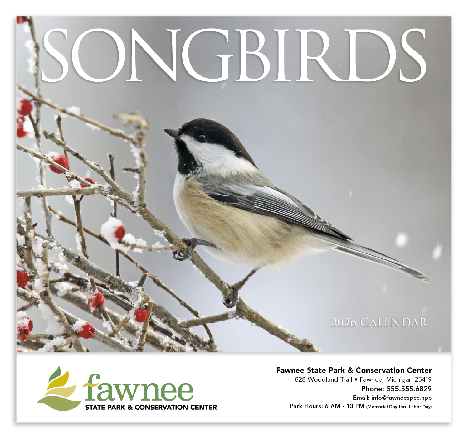 HotLine® Products Songbirds Appointment Calendar - Stapled 11