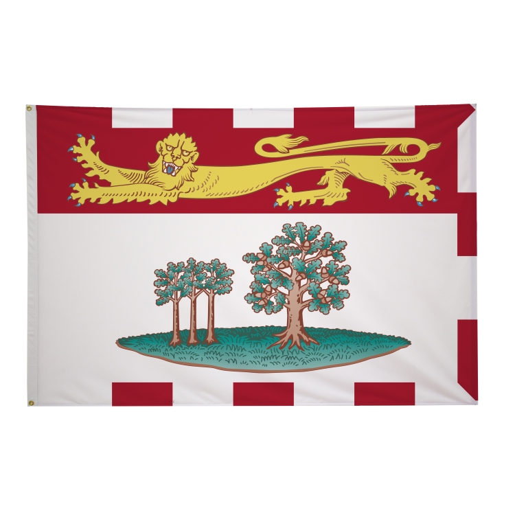 4' x 6' International Flags 9