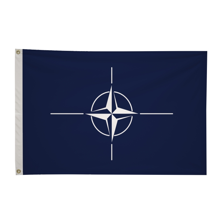 2' x 3'International Flag 65