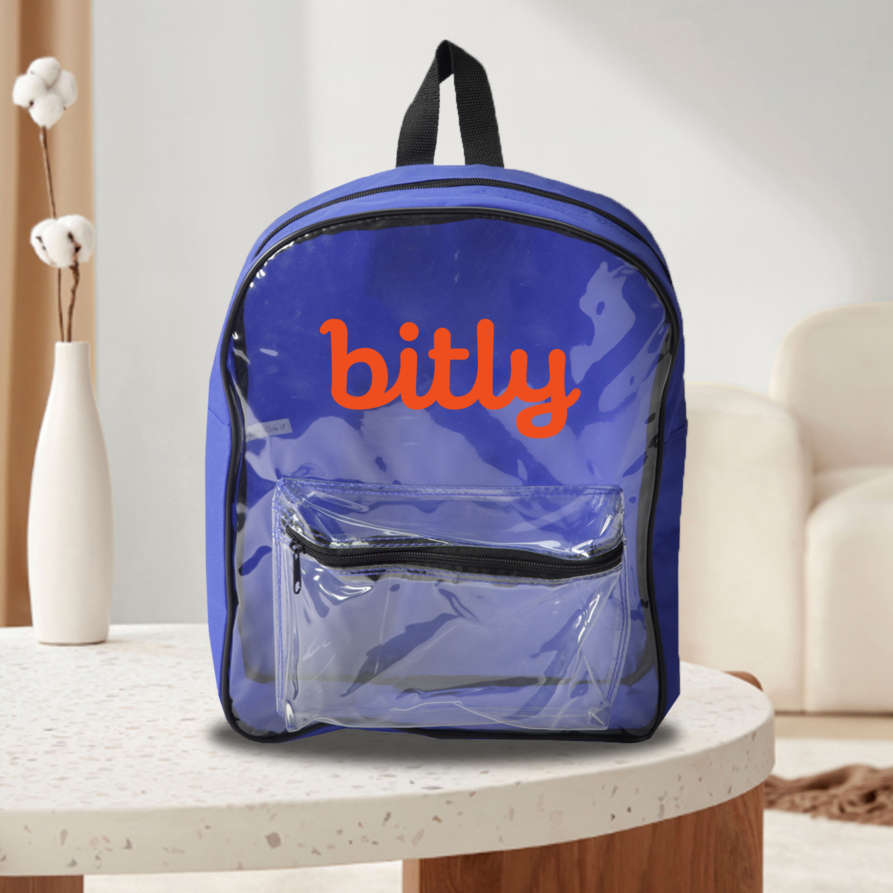 Ostia Clear Backpack 2