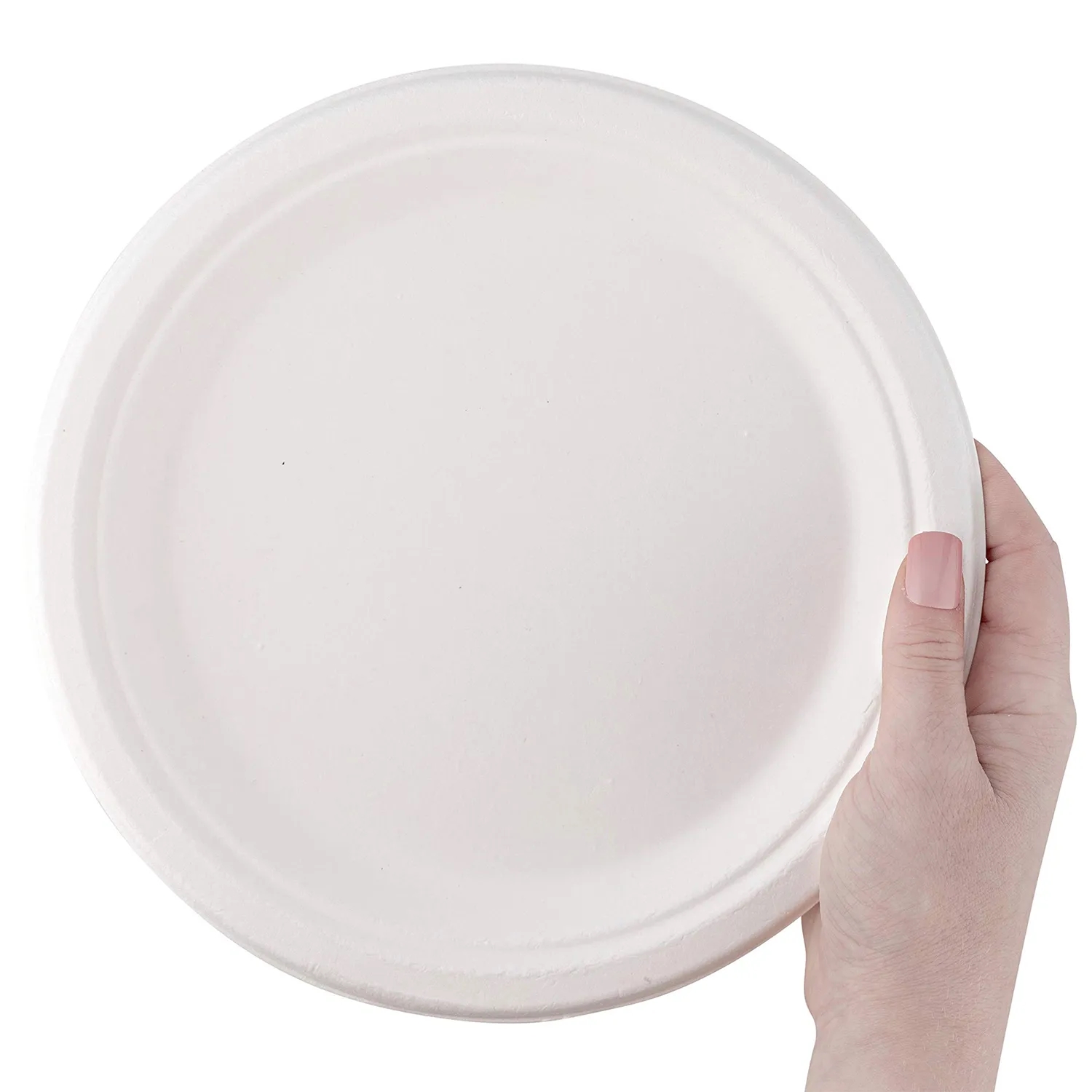Disposable Paper Plates 4