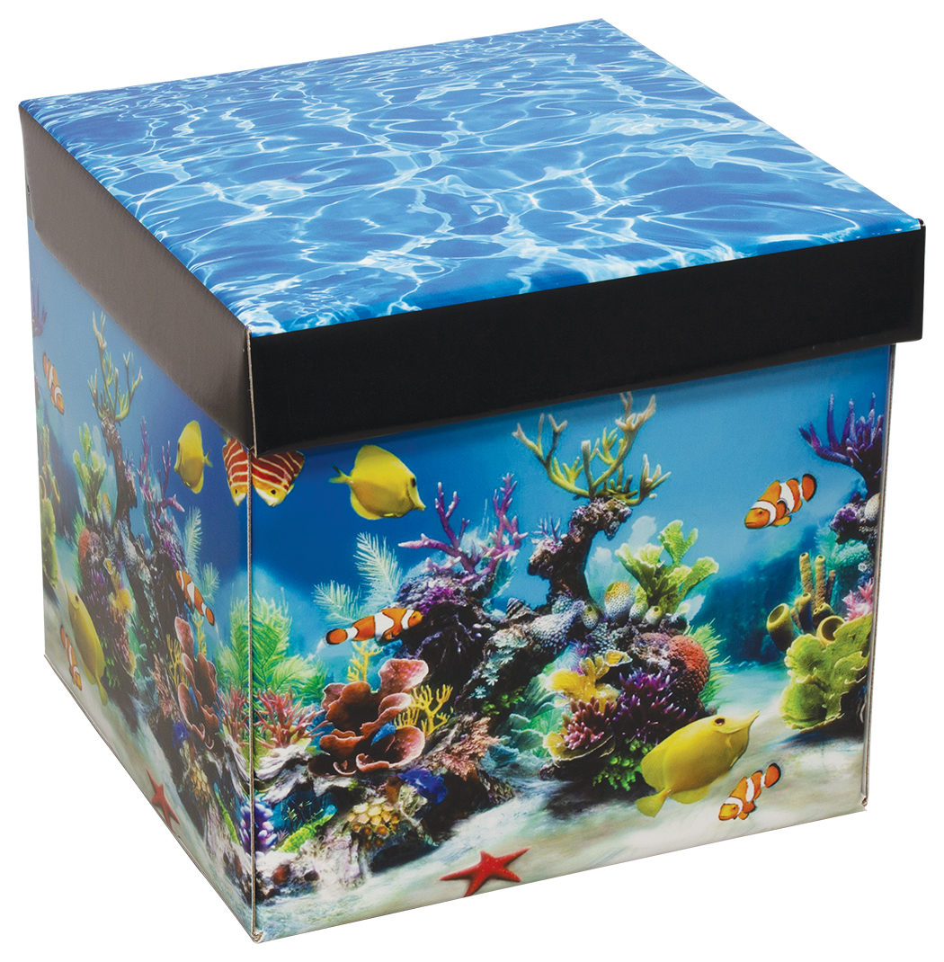 8" x 8" x 8" - Fold Above E-Flute Box 1