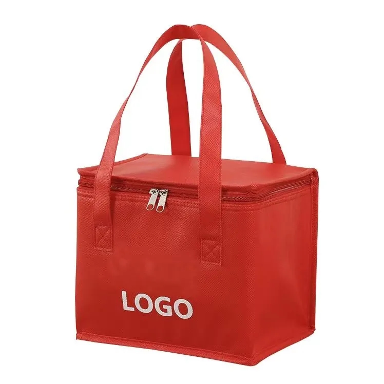Insulated Food Cooler Bag 4