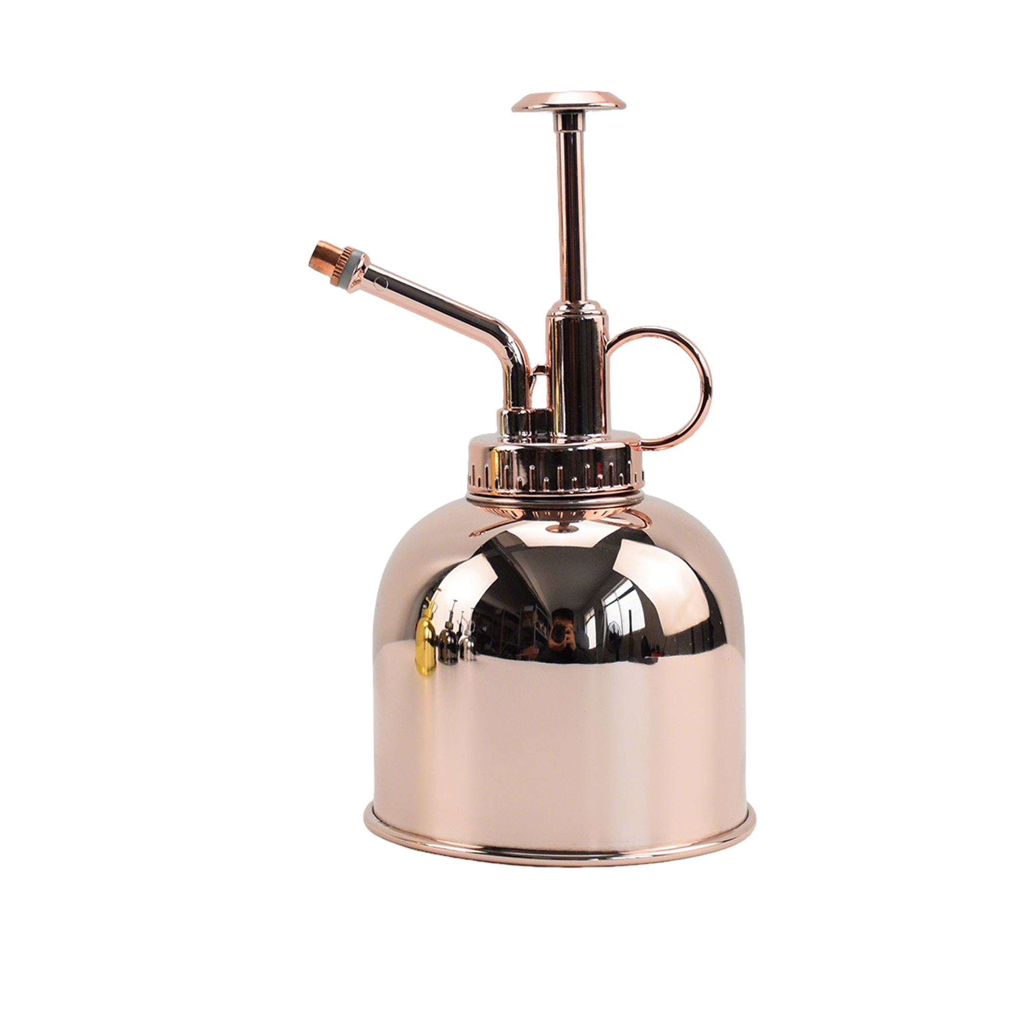 Stainless Steel Fine Mist Plant Mister 10