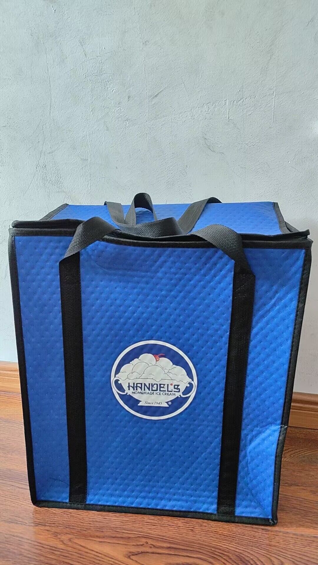 Cooler Bag 1