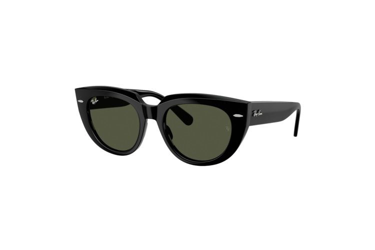 Ray-Ban Women's Doreen Sunglasses 2
