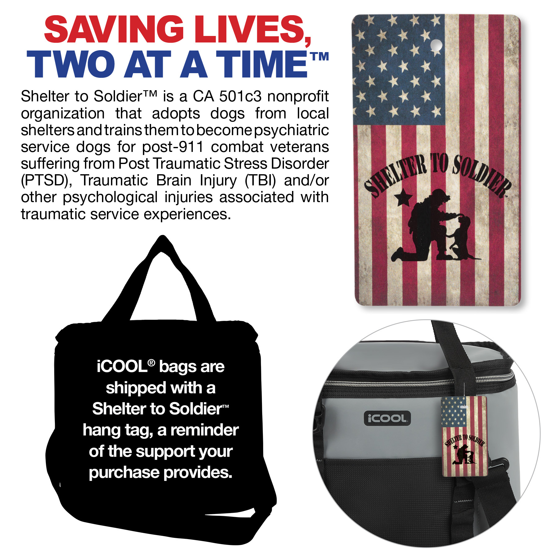 iCOOL® Pinecrest 12-Can Cooler 8