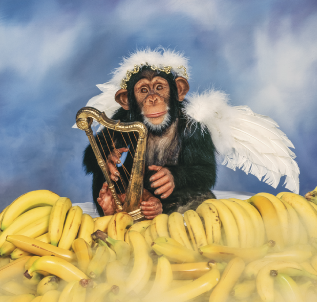 Triumph® Calendars Monkey Business Calendar 6