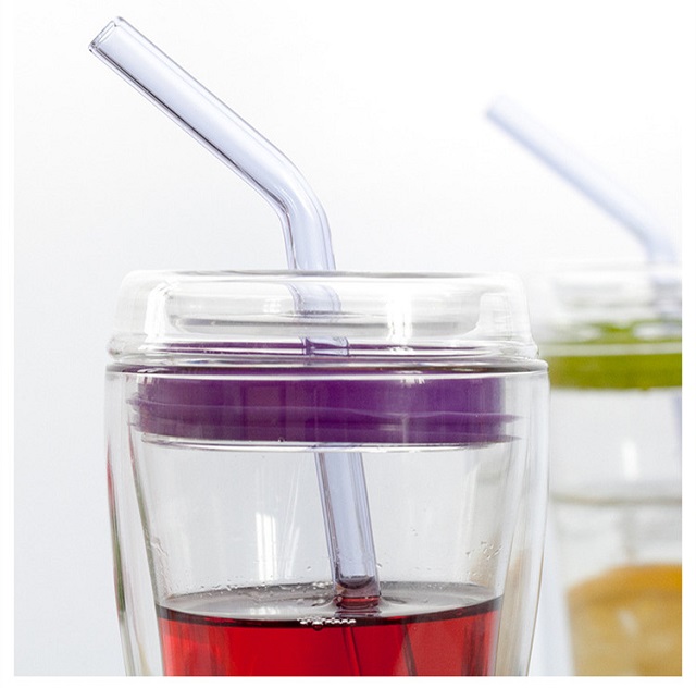 Double Wall Glass Juice Cup w/ Glass Lid & Straw 10 oz 5