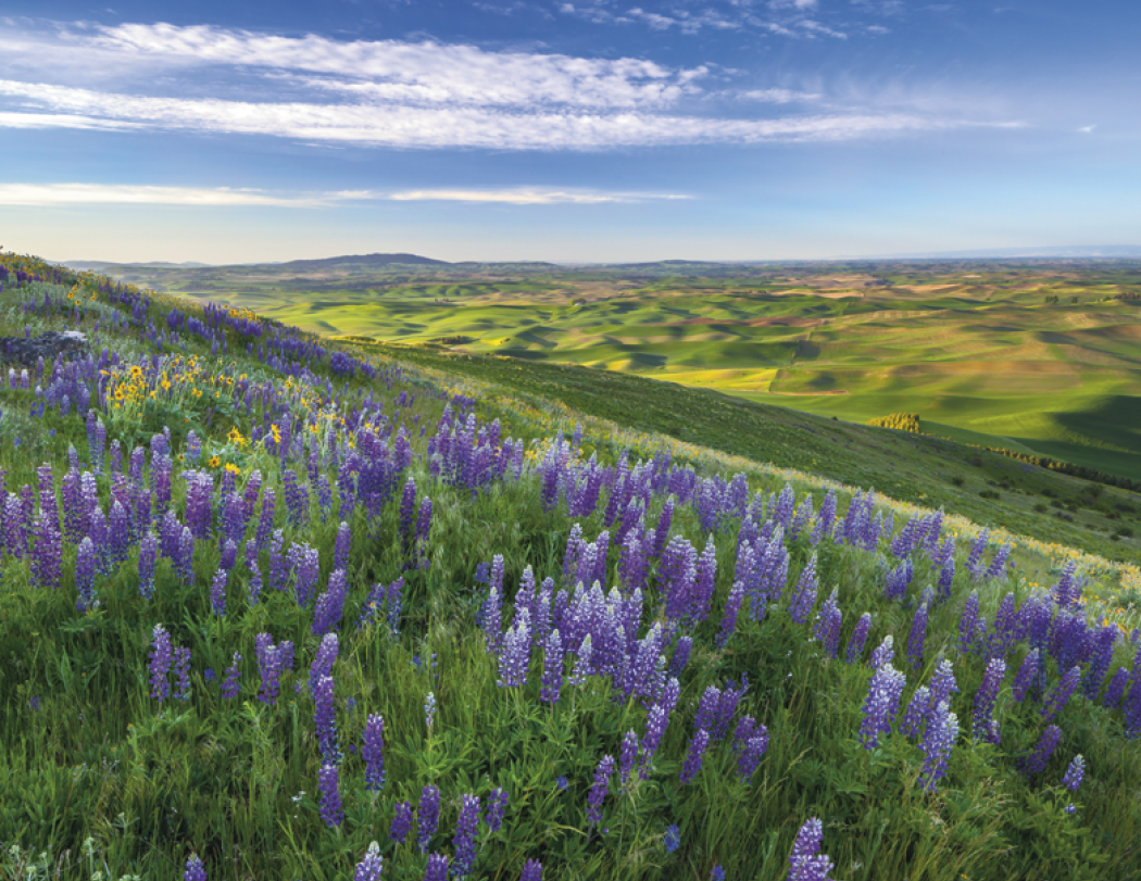 Good Value™ Landscapes of America - Stapled Calendar 66