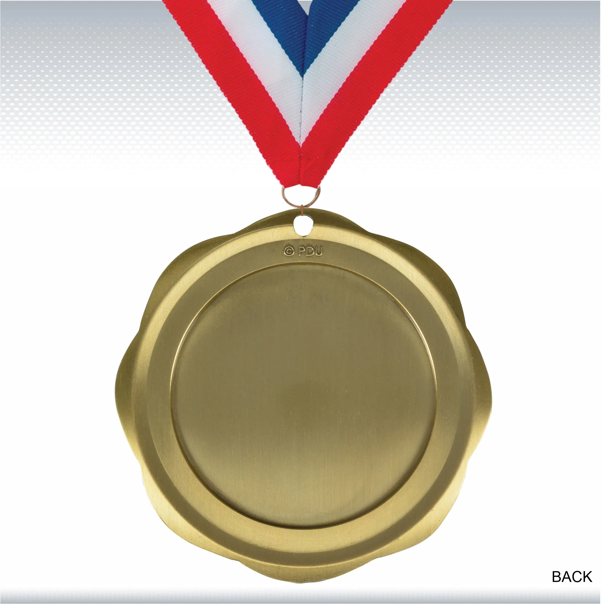 3" Fusion Citizenship Medal 14