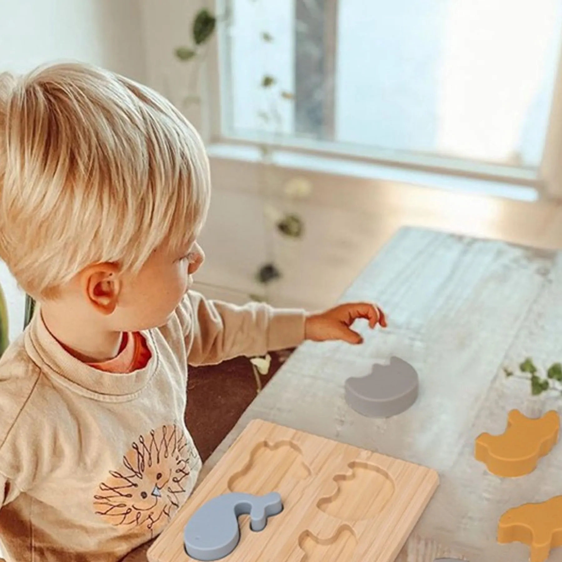 Baby Fun Puzzle Toys 5