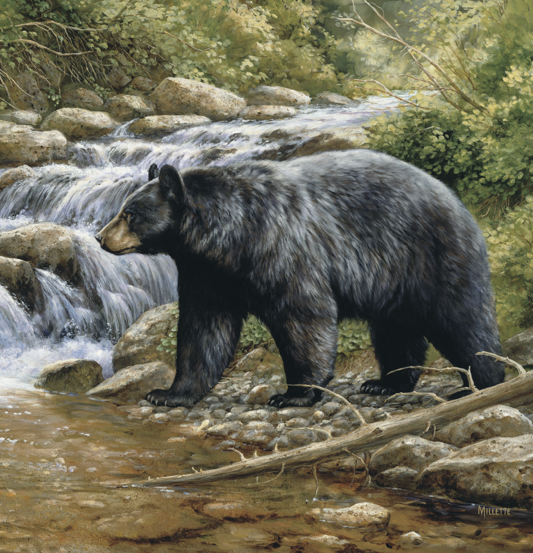 Triumph® Calendars Wildlife Art Calendar 14