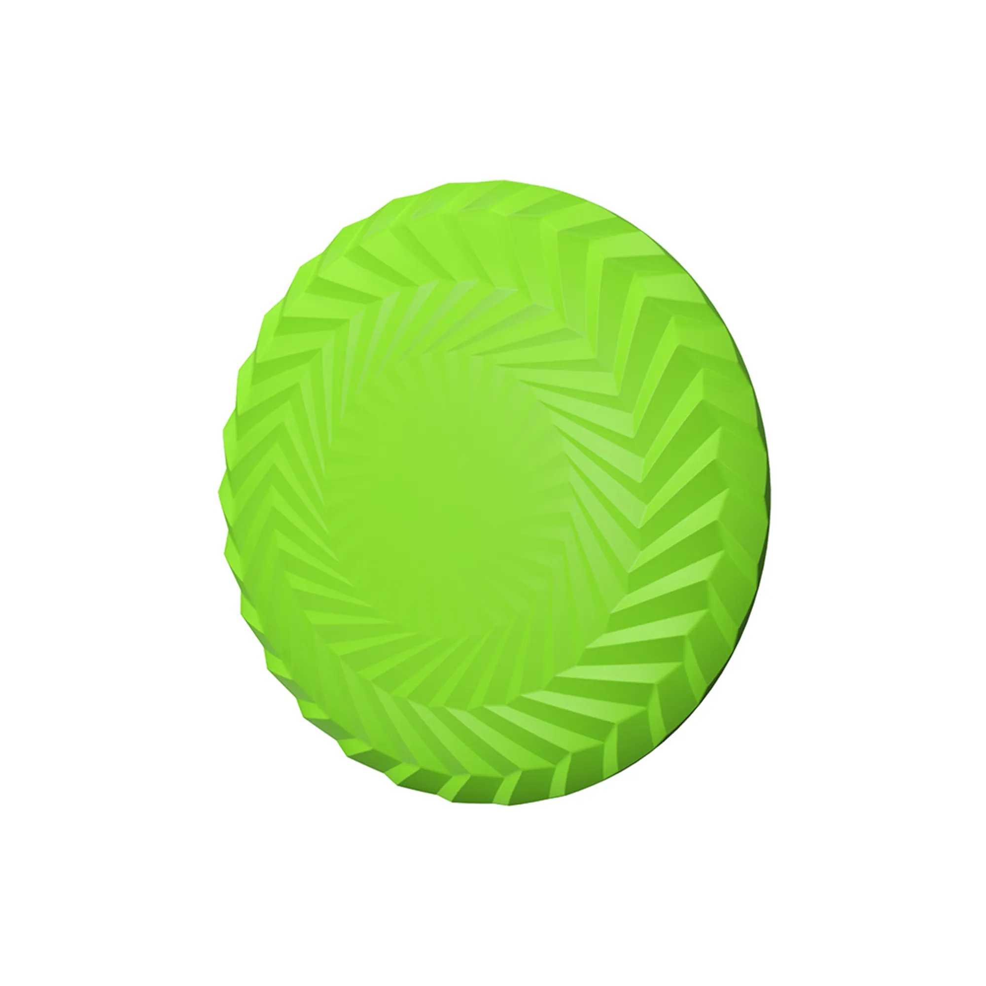 Pet Flying Disc 1