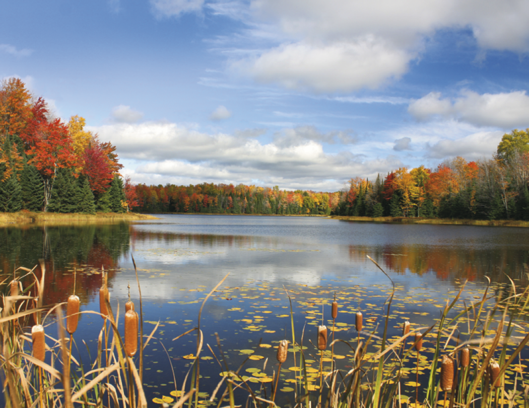 Triumph® Calendars Beautiful America Calendar 4