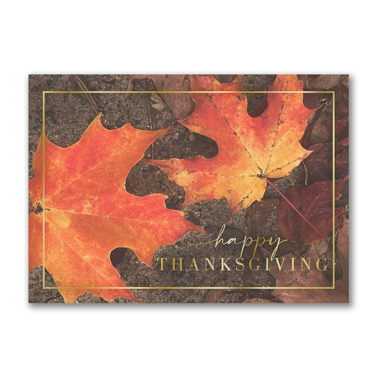 Autumn Color Thanksgiving Card 1