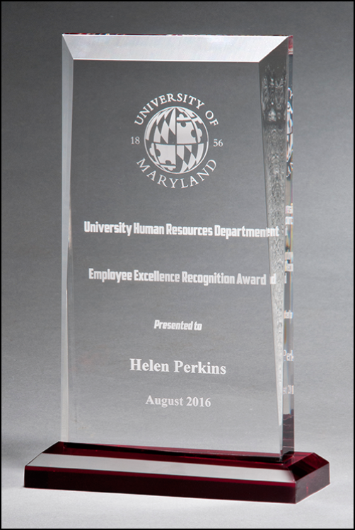 Apex Acrylic Award 1