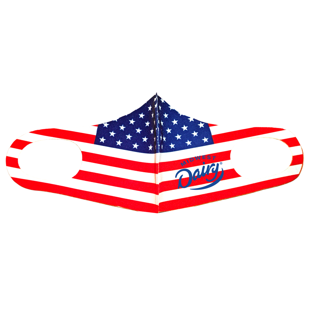 United States Flag Design Face Mask One Layer 4