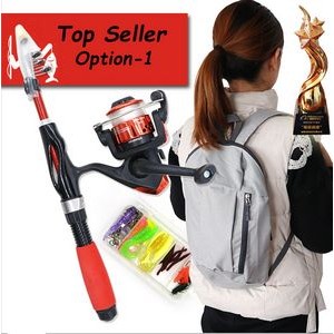 Fishing Pole 4