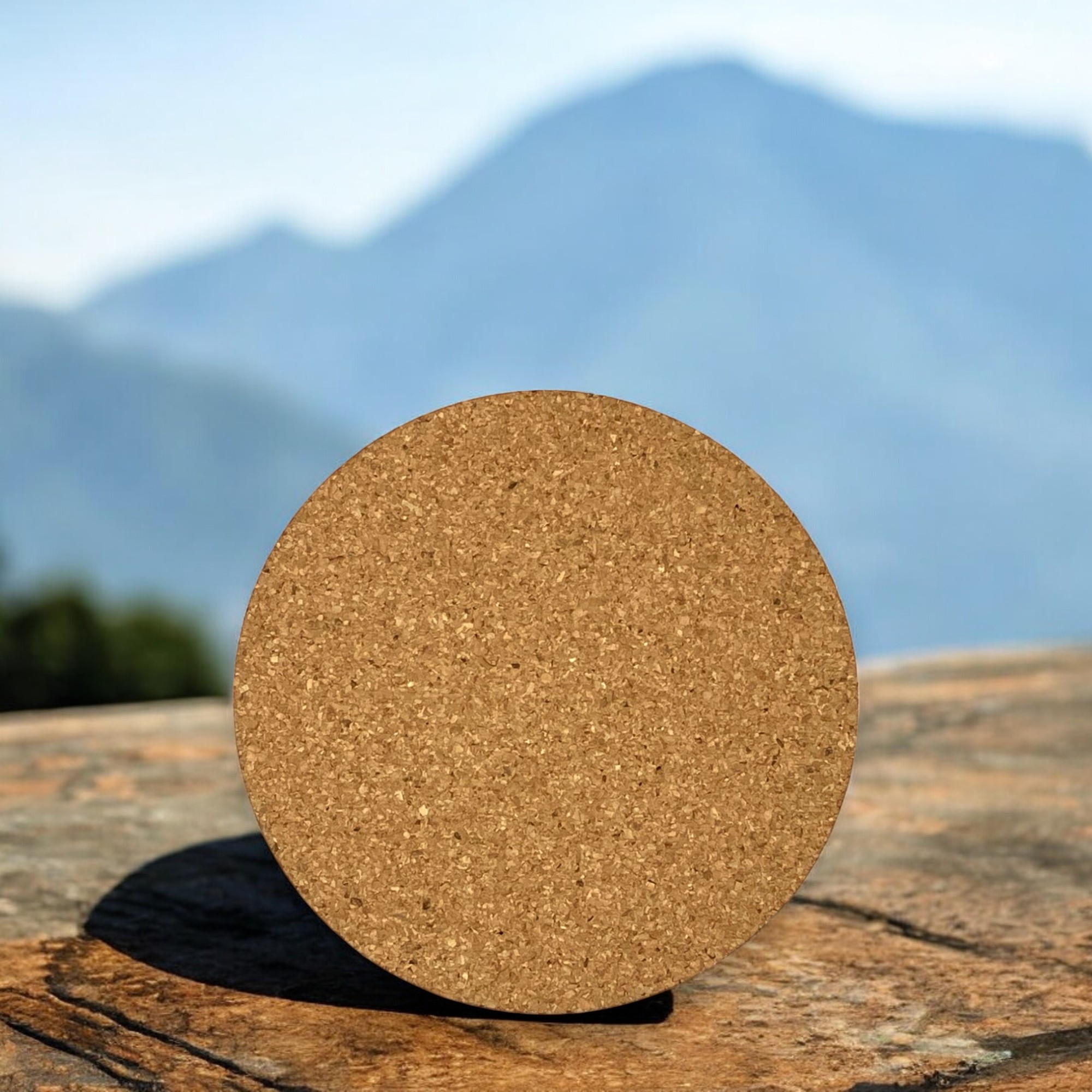 Round Cork Coaster 12