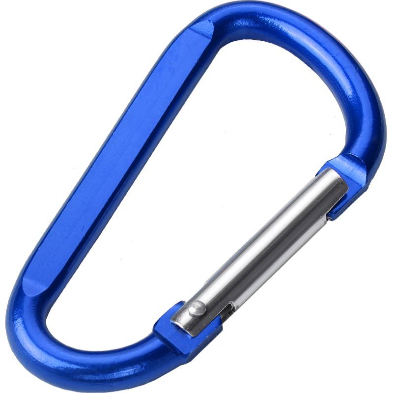 Carabiner Key Chain 4
