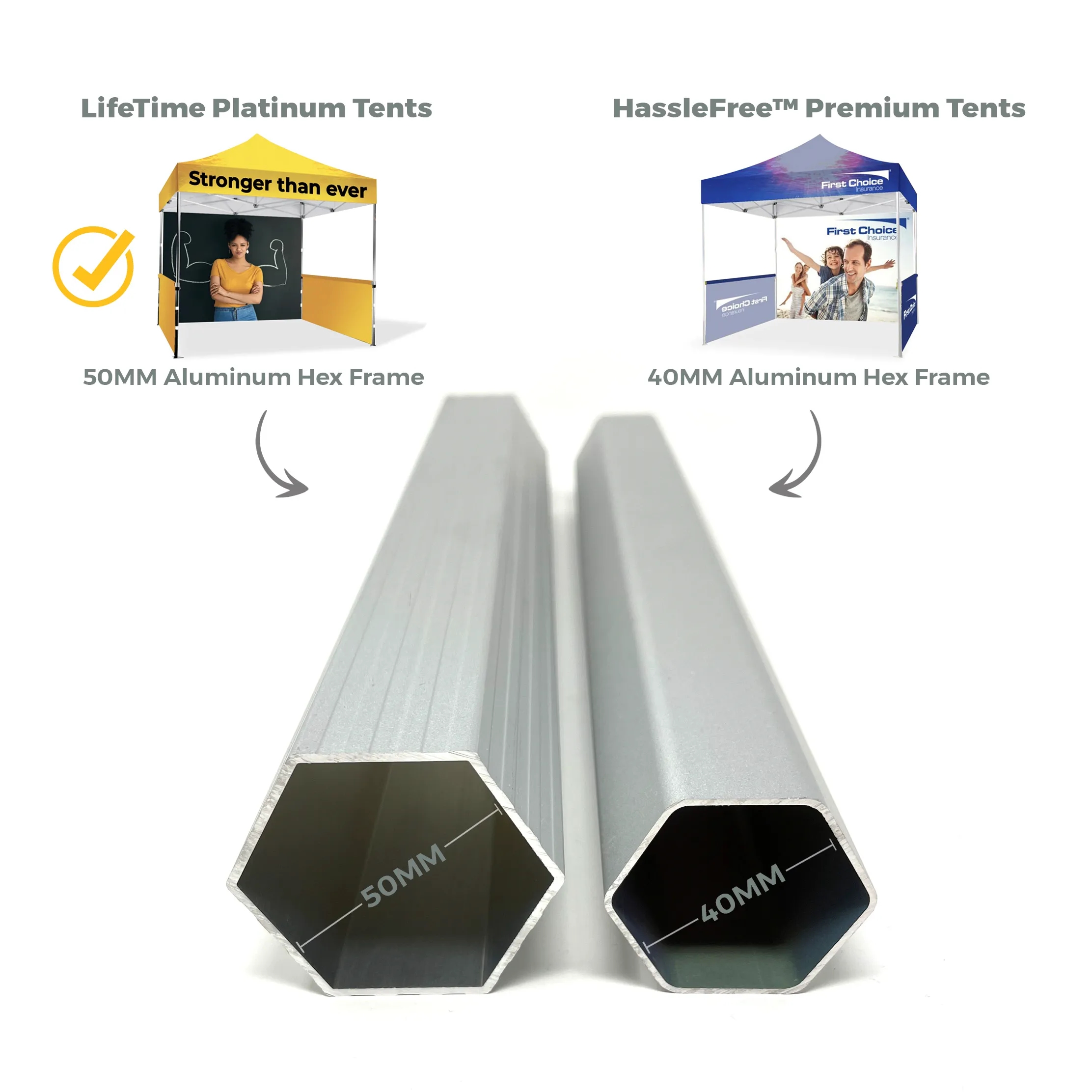 10x10 Platinum LifeTime Tent Full Color Canopy and Backwall 9