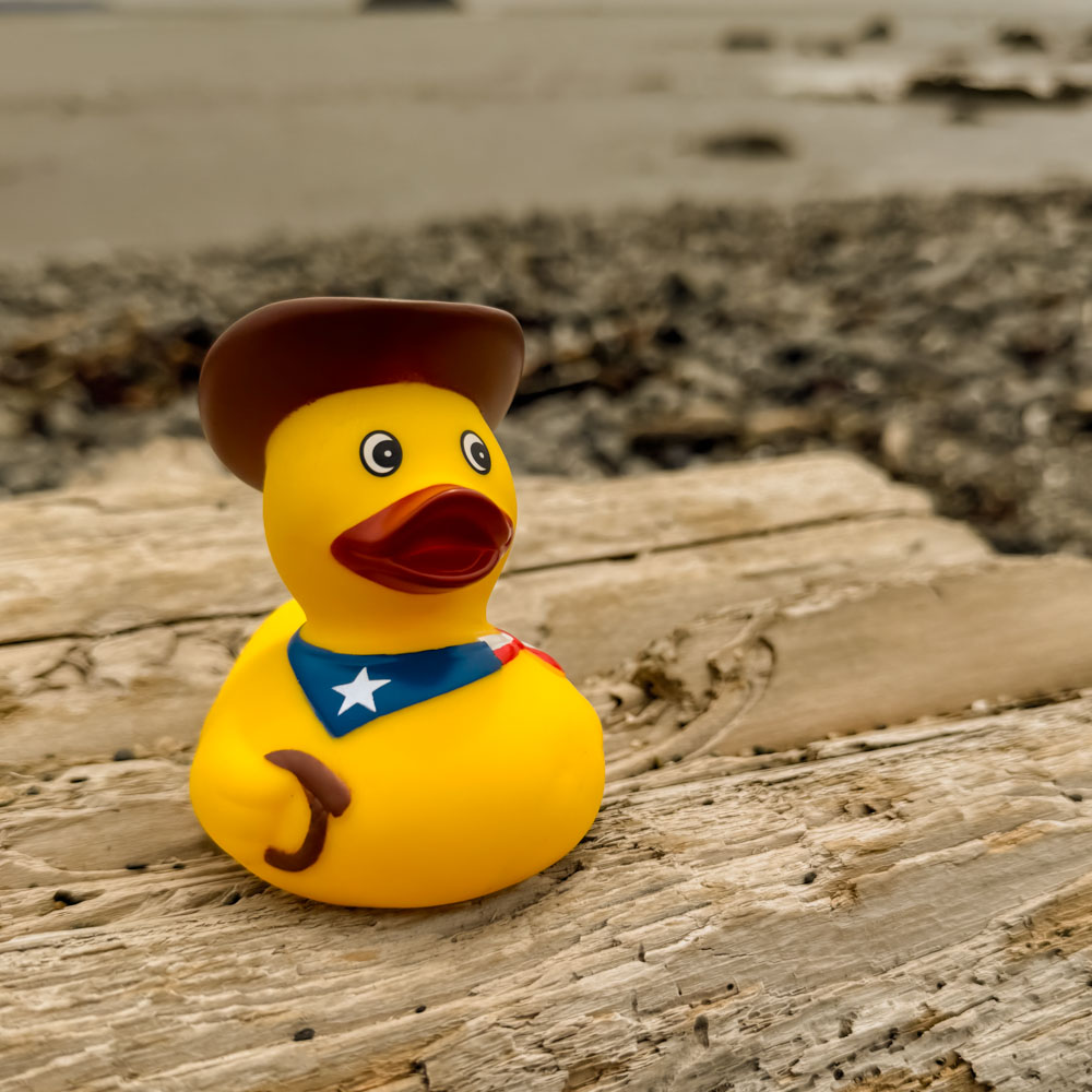Cowboy Duck 3