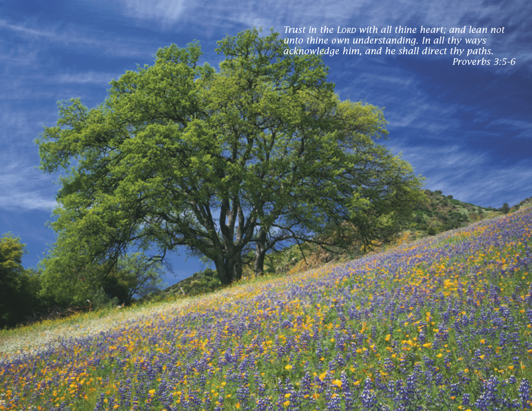 Triumph® Calendars Bible Passages Calendar 16