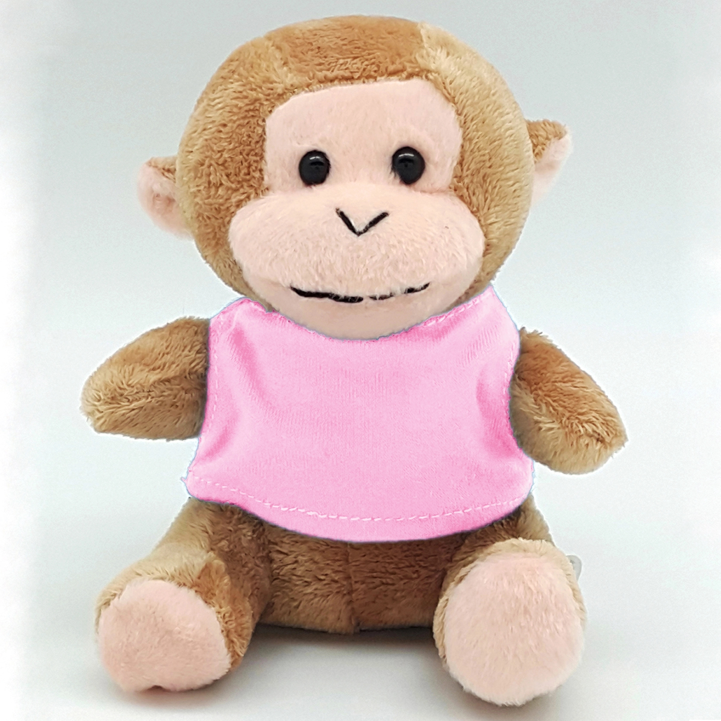 5" Plush Pals Monkey 5
