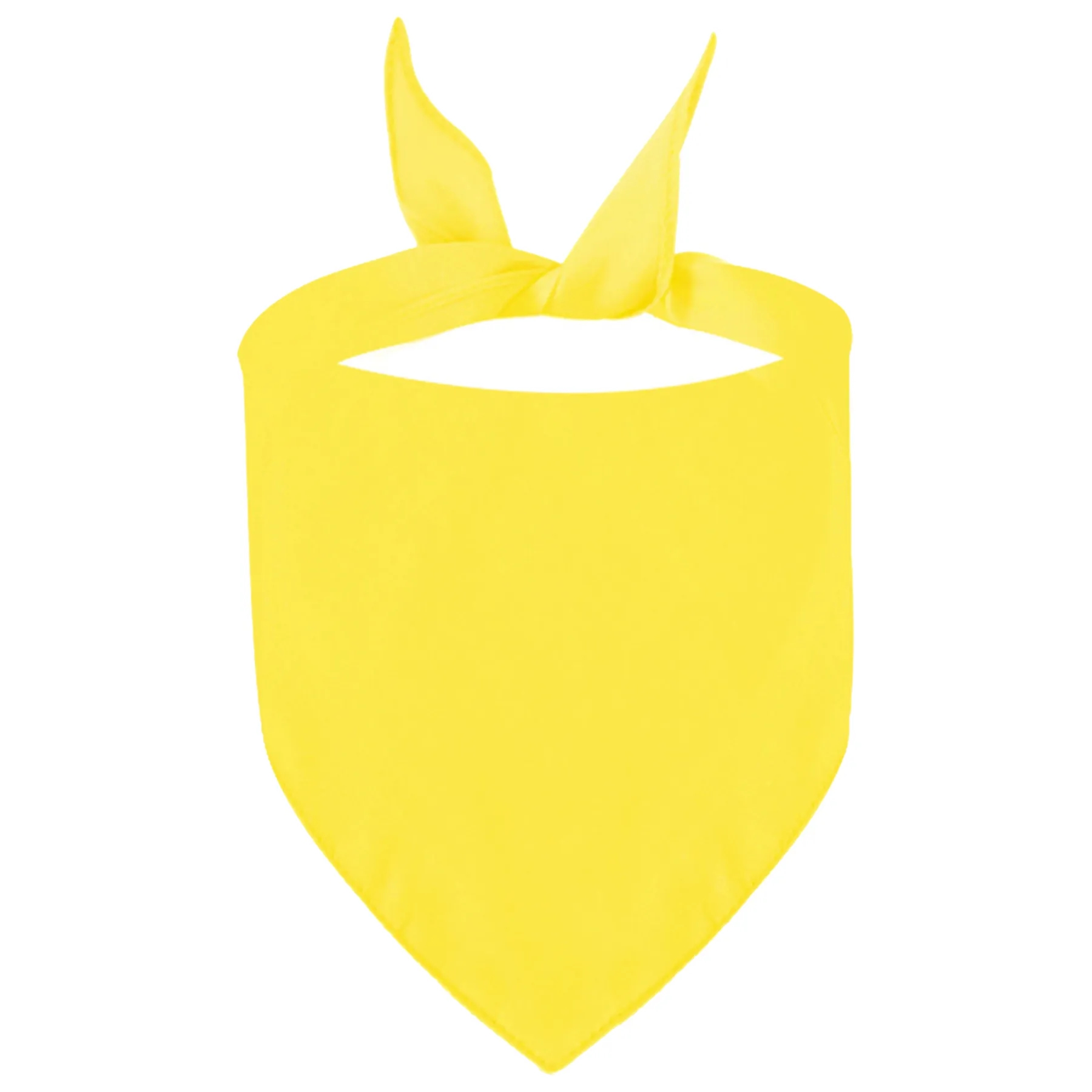 Pet Bandana 14