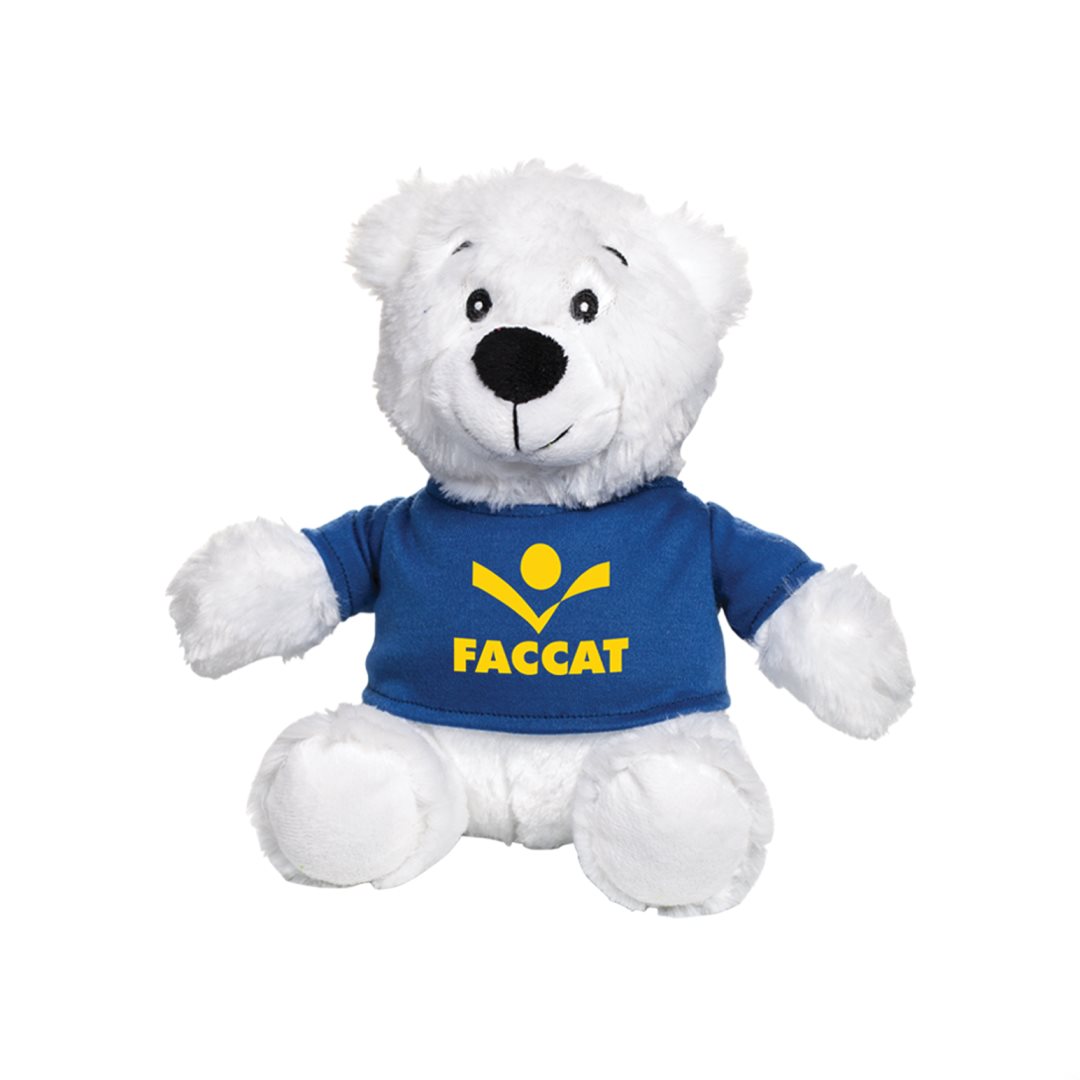 Robbie the Teddy Bear (with T-Shirt) 16