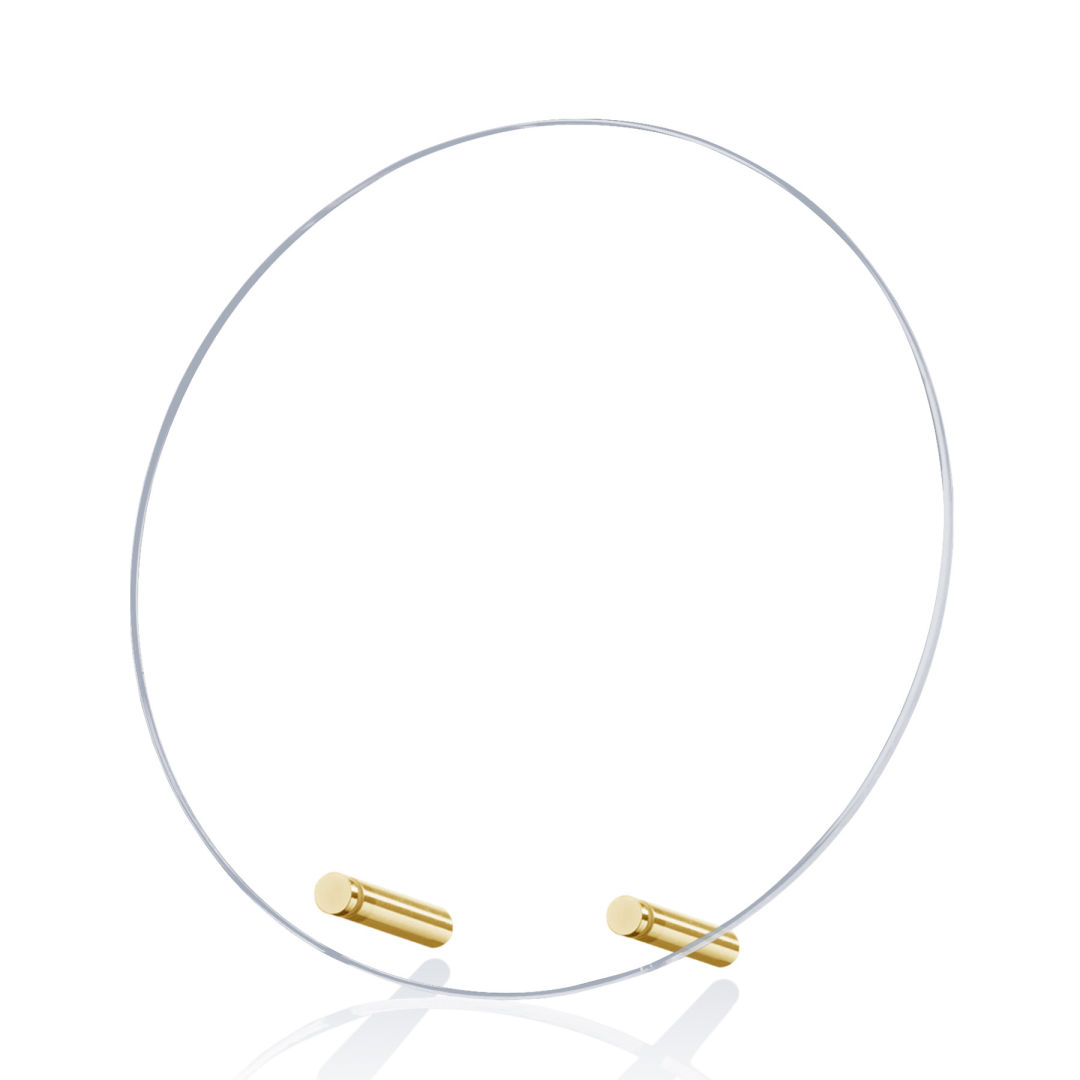 Windsor Circle Award - Gold 2