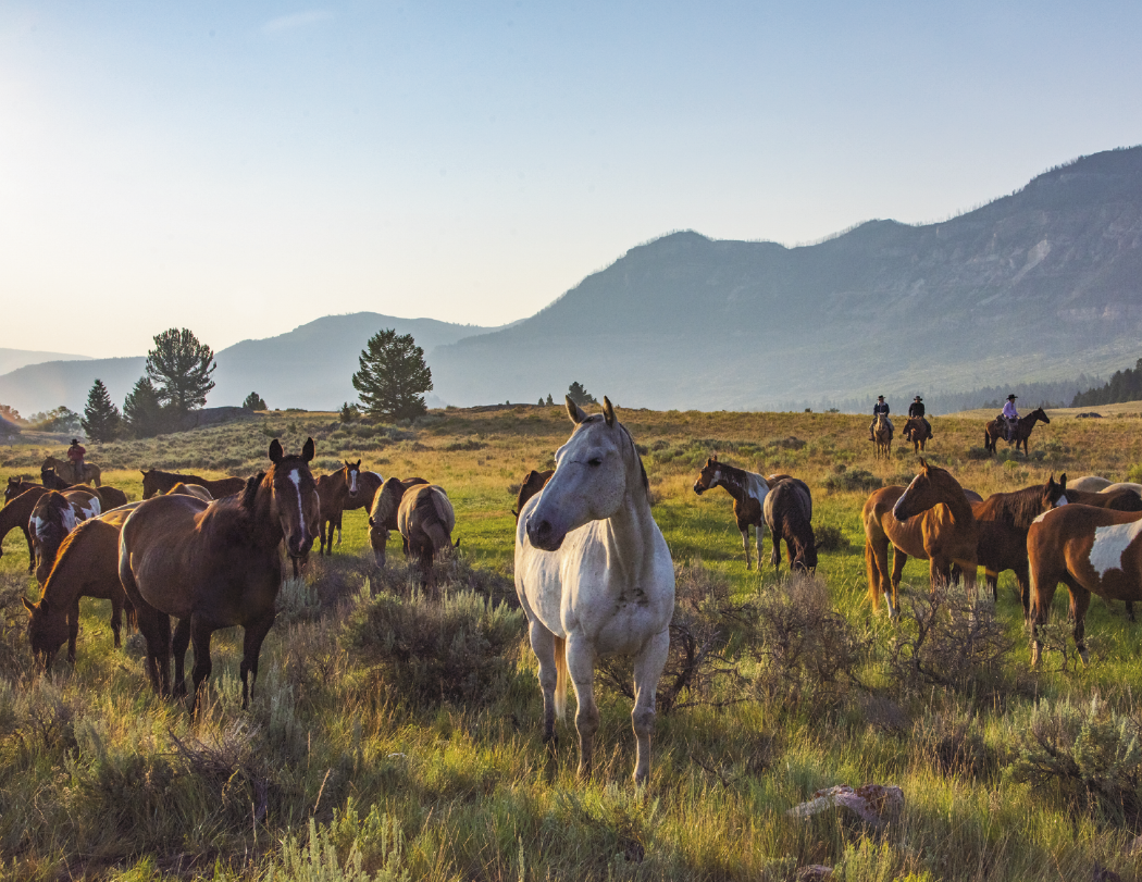Triumph® Calendars Visions of the West Calendar 34